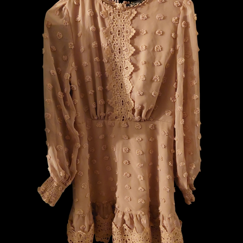Elegant Lace Trim Dress